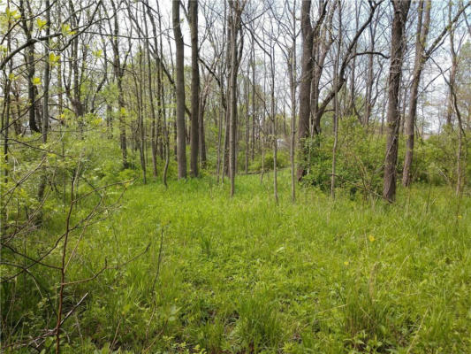 LOT 253 OTTAWA STREET, CRAWFORDSVILLE, IN 47933 - Image 1