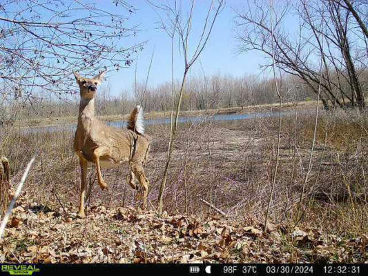 0 N GRAY ROAD, MOORESVILLE, IN 46158, photo 5 of 64