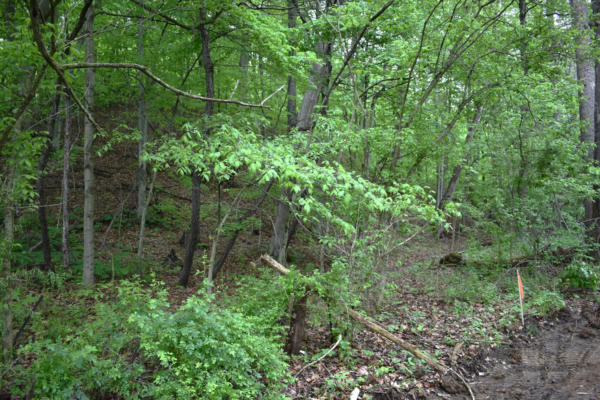LOT 1- GOAT HOLLOW ESTATES ROAD, MARTINSVILLE, IN 46151, photo 2 of 4